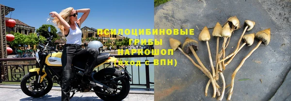 прущая мука Арсеньев