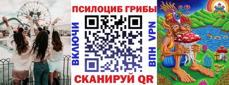 Галлюциногенные грибы MAGIC MUSHROOMS  закладки  Тетюши 